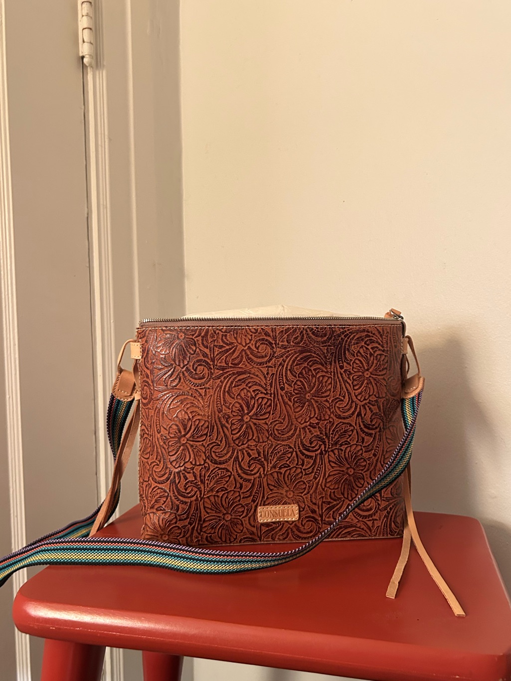Consuela Leather Crossbody Bag With Striped Strap - Brown Nwot